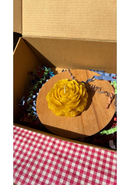 Balmumu Gül Modeli Mum modelleri