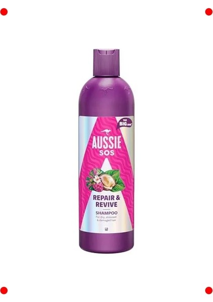 Kuru Yıpranmış Saçlar Için Onarıcı Şampuan 500 ml