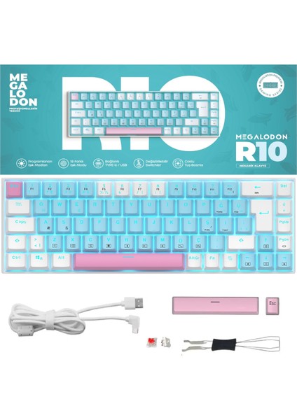 R10 Mekanik Oyuncu Klavyesi Full Anti-Ghosting Hot Swap Red Switch Buz Mavisi Işıklandırma (Türkçeq)