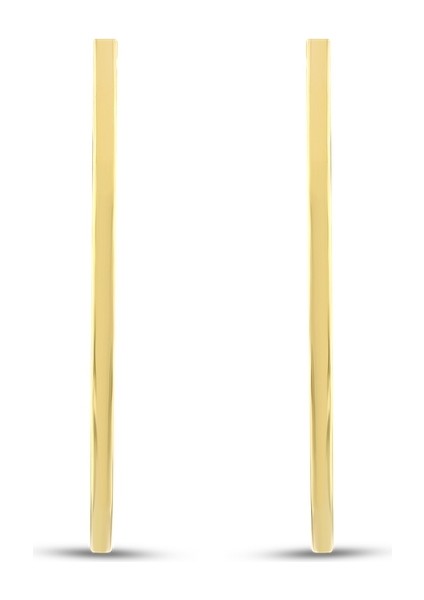 Altın Halka Küpe - 14K fiyatları