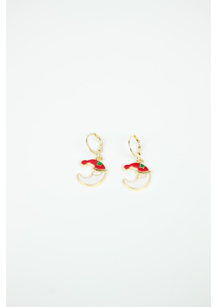 Yılbaşı Temalı Küpe fiyatları