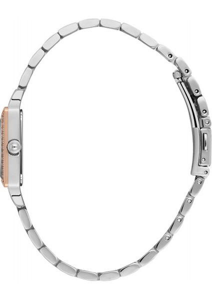 Bıgottı Kadın Kol Saati BG.1.10616.6 modelleri