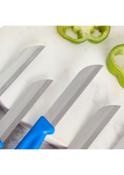 Mira 6 Parça Meyve Bıçak Seti Mavi modelleri