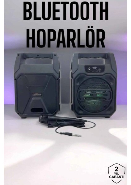 6.5 Inç Kablosuz Hoparlör Bluetooth Bağlantılı Yüksek Ses Kaliteli