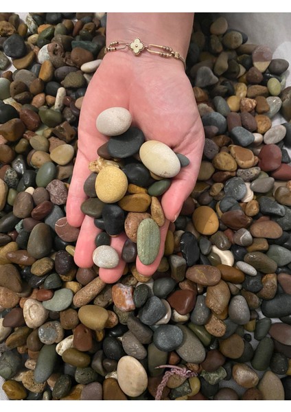 Küçük Çakıl Taşı | Saksı Dibi, Vazo, Akvaryum, Bahçe Süsleme Taşı (1 Kg)