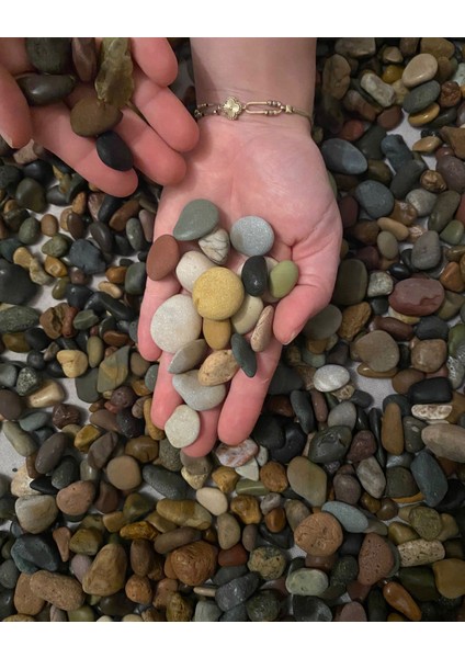 Küçük Çakıl Taşı | Saksı Dibi, Vazo, Akvaryum, Bahçe Süsleme Taşı (1 Kg) fiyatları