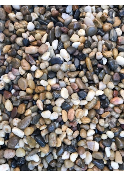 Küçük Çakıl Taşı | Saksı Dibi, Vazo, Akvaryum, Bahçe Süsleme Taşı (1 Kg) fırsatları