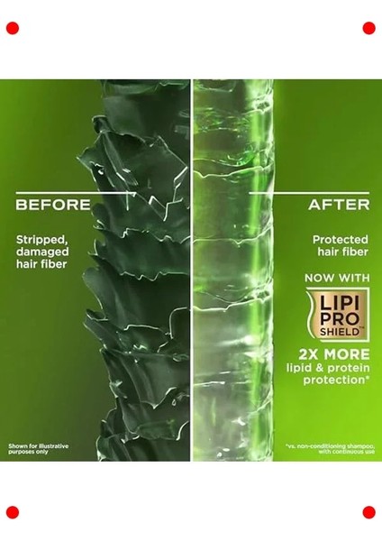 Biberiye & Nane Arındırıcı Sülfatsız Şampuan 385 ml modelleri