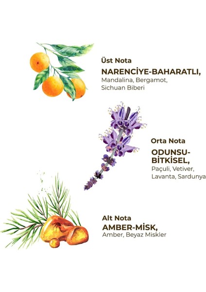 Eyüp Sabri Tuncer Erkek Roll On Deodorant 75 ml Sport fiyatları