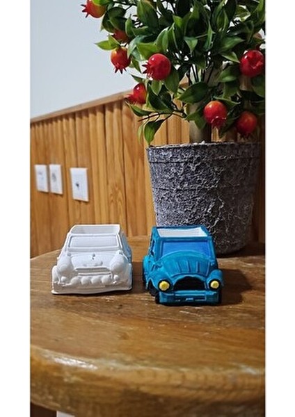 Boyanabilir 2li Araba Biblo - Sukulent Saksı modelleri