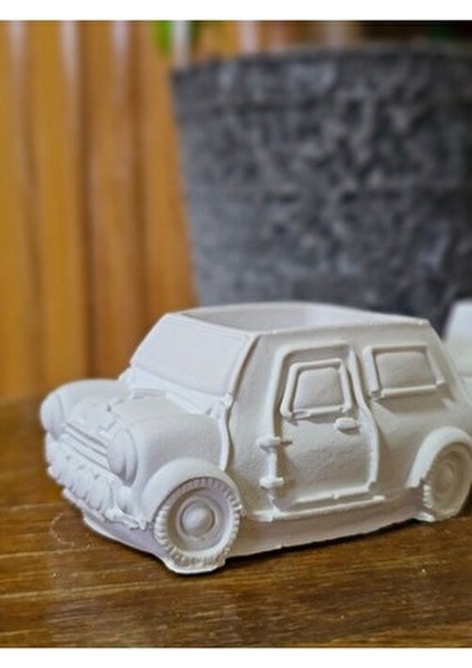 Boyanabilir 2li Araba Biblo - Sukulent Saksı