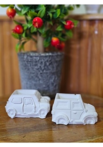 Boyanabilir 2li Araba Biblo - Sukulent Saksı