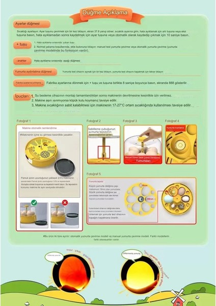 Mini Otomatik Ev Tipi Kuluçka: Papağan Bıldırcın Kuluçka Makinesi 18LI Yumurtalı Mx-18 ( Lisinya )