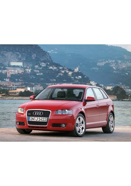 Audi A3 8p 2003-2008 Sportback Ön Panjur + Arma fırsatları