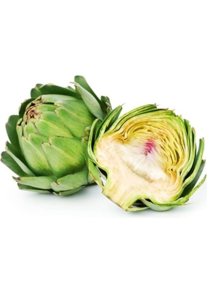 Enginar Tohumu Geleneksel Enginar Tohumu 10 Adet Tohum