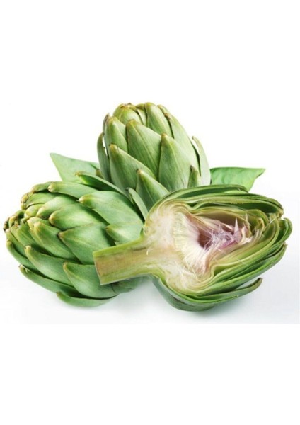 Enginar Tohumu Geleneksel Enginar Tohumu 10 Adet Tohum fiyatları