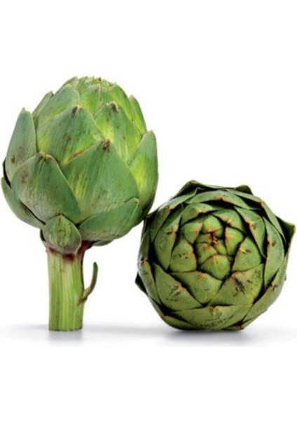 Enginar Tohumu Geleneksel Enginar Tohumu 10 Adet Tohum fırsatları