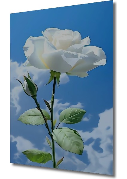 Beyaz Gül Tablosu Sulu Boya Görünümlü Dikdörtgen Tablo modelleri