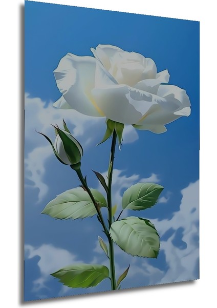 Beyaz Gül Tablosu Sulu Boya Görünümlü Dikdörtgen Tablo fırsatları