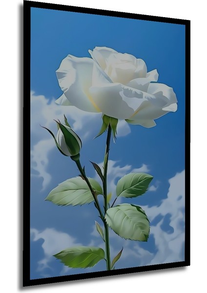 Beyaz Gül Tablosu Sulu Boya Görünümlü Dikdörtgen Tablo