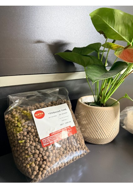 Tane Yenibahar fiyatları