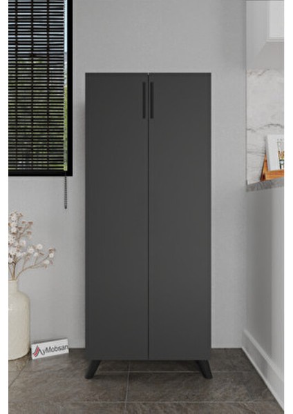 Kayra 2 Kapaklı 5 Raflı Boy Dolabı Çok Amaçlı Dolap Kiler Dolabı Mutfak Dolabı, Antrasit