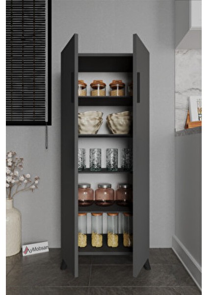 Kayra 2 Kapaklı 5 Raflı Boy Dolabı Çok Amaçlı Dolap Kiler Dolabı Mutfak Dolabı, Antrasit fiyatları