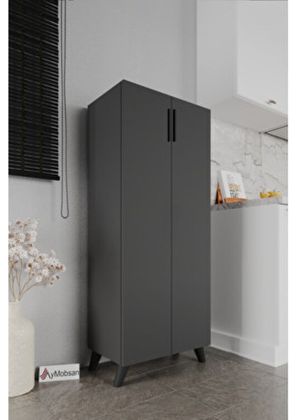 Kayra 2 Kapaklı 5 Raflı Boy Dolabı Çok Amaçlı Dolap Kiler Dolabı Mutfak Dolabı, Antrasit modelleri