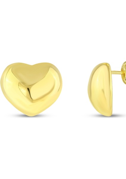 Kalpli Tasarım Altın Küpe - 14K fiyatları