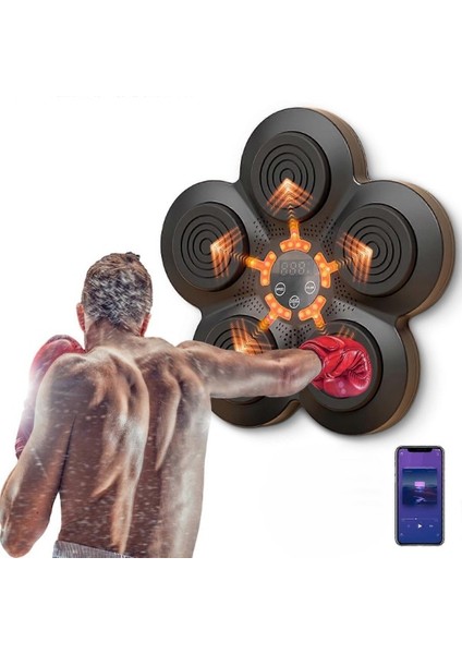 Müzikli Boks Makinesi fırsatları