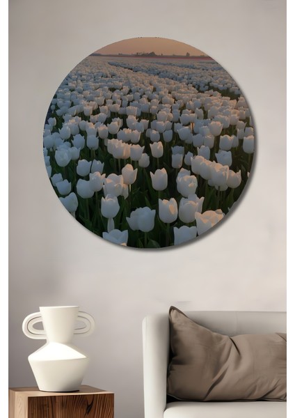 Beyaz Lale Tarlası Yağlı Boya Görünümlü Ahşap Dekoratif Tablo Yuvarlak Tablo