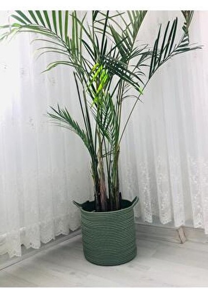 Hasır Sepet Oyuncak Sepeti Çok Amaçlı Düzenleyici Saksılık 25 x 25 Haki fırsatları