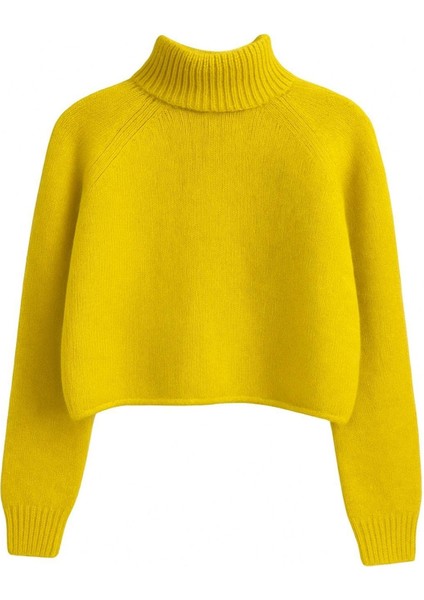 6854 Kadın Dik Yaka Bütün Crop Triko Kazak Hardal