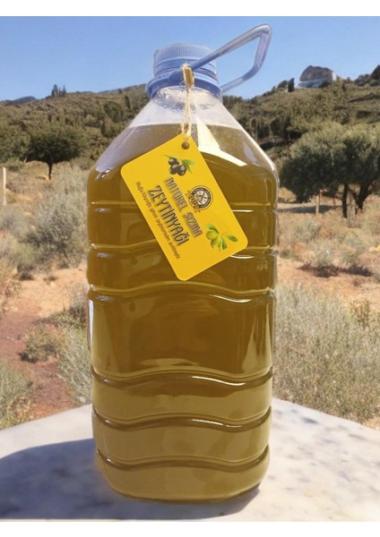 5 Lt Köyceğiz Natürel Sızma Zeytinyağı - Yeni Sıkım (2025 Kasım Mahsulü)