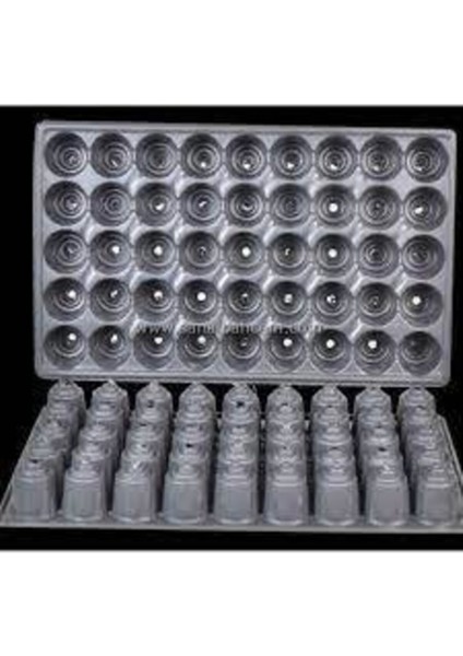 10 Adet 70 Gözlü Viol Viyol Fide Çimlendirme Viyolü Pilastik Viyol Süpriz Hediye Sebze Tohulu