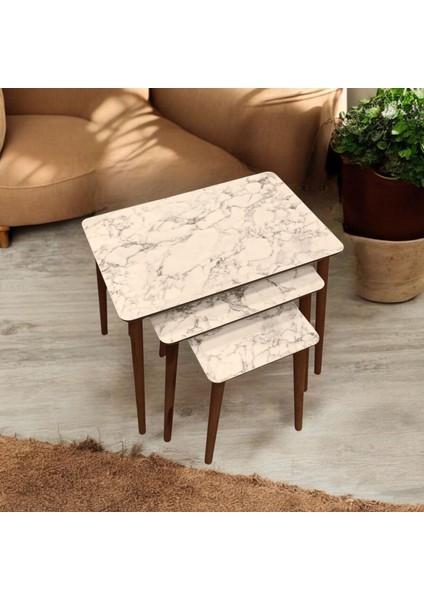 3'lü Mdf Ahşap Zigon Sehpa fırsatları