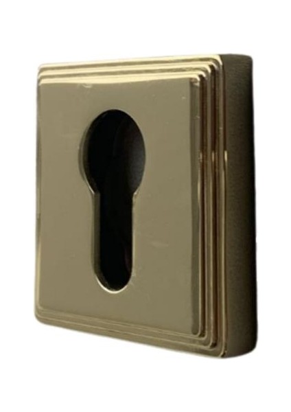 RO17 Kapı Kolu Rozeti Yale (Dış Kapı) Gold 53X53X10 mm