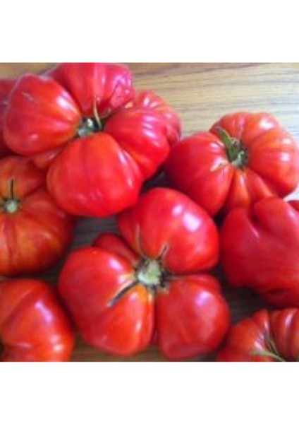 Çok Iri Oturak Pembe Domates Tohumu %100 Yerli(10 Adet)