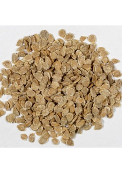 Çok Iri Oturak Pembe Domates Tohumu %100 Yerli(10 Adet) fiyatları