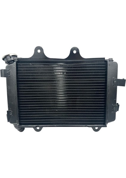 Dominar 400 Radyatör HMADMNR400RDYTROR