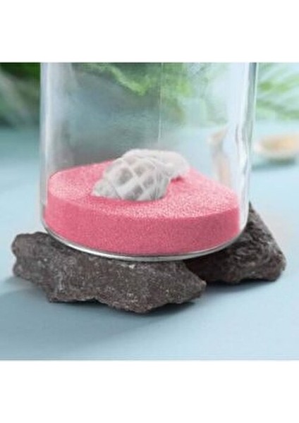 Bebe Pembe Akvaryum Deniz Plaj Teraryum Silis Kumu 1 kg fiyatları