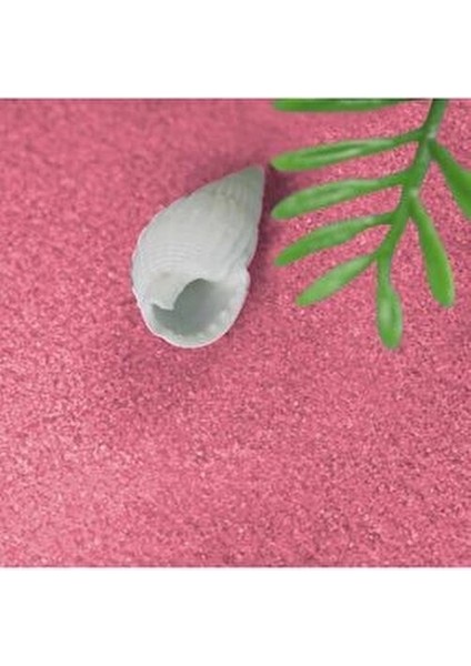 Bebe Pembe Akvaryum Deniz Plaj Teraryum Silis Kumu 1 kg indirimleri