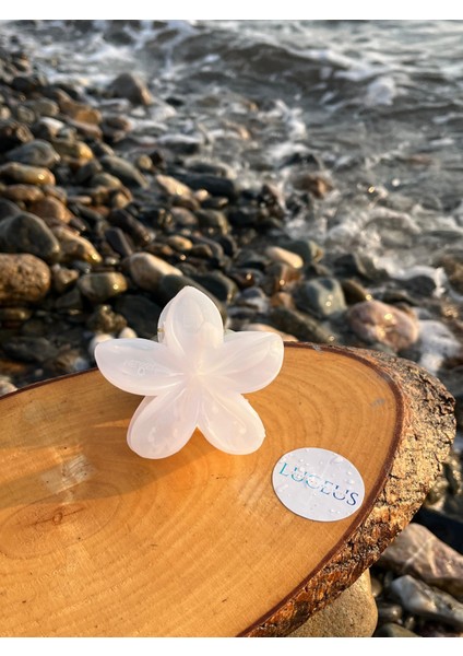 Beyaz Renk Lotus Toka