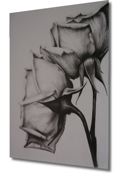 Kara Kalem Görünümlü Ahşap Dekoratif Tablo Zarif Gül Bahçesi Modern Sanat Dikdörtgen Tablo modelleri