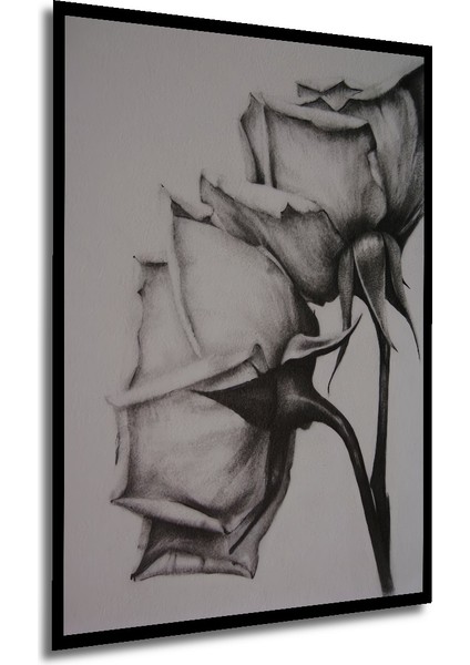 Kara Kalem Görünümlü Ahşap Dekoratif Tablo Zarif Gül Bahçesi Modern Sanat Dikdörtgen Tablo