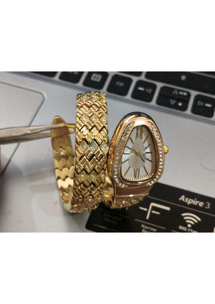 Altın Renk Taş Kaplama Beyaz Kadran Yılan Saat Dolamalı Saat fiyatları