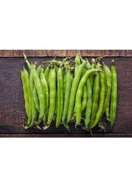 50 Adet Tohum Eko Paket Yerli Sakız Bakla Tohumu Adet Tohum Ata Tohum Sürpriz Hediye Tohum fiyatları