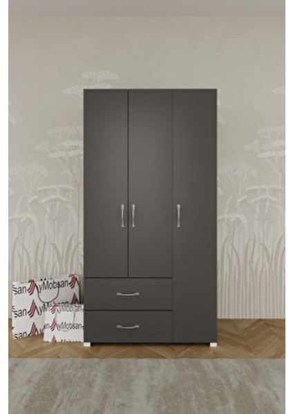 Mavera 3 Kapaklı 2 Çekmeceli Gardrop, Antrasit, 90 cm