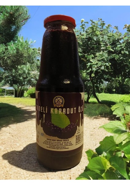 1350 ml Doğal Bol Taneli Karadut Özü