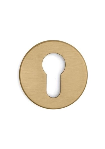 RO12 Kapı Kolu Rozeti Yale (Dış Kapı) Gold Branch 52X52X9 mm